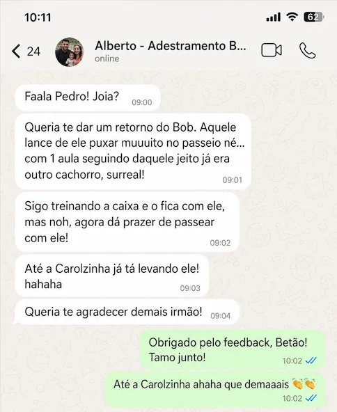 Print de conversa no WhatsApp: Alberto, tutor do Bob