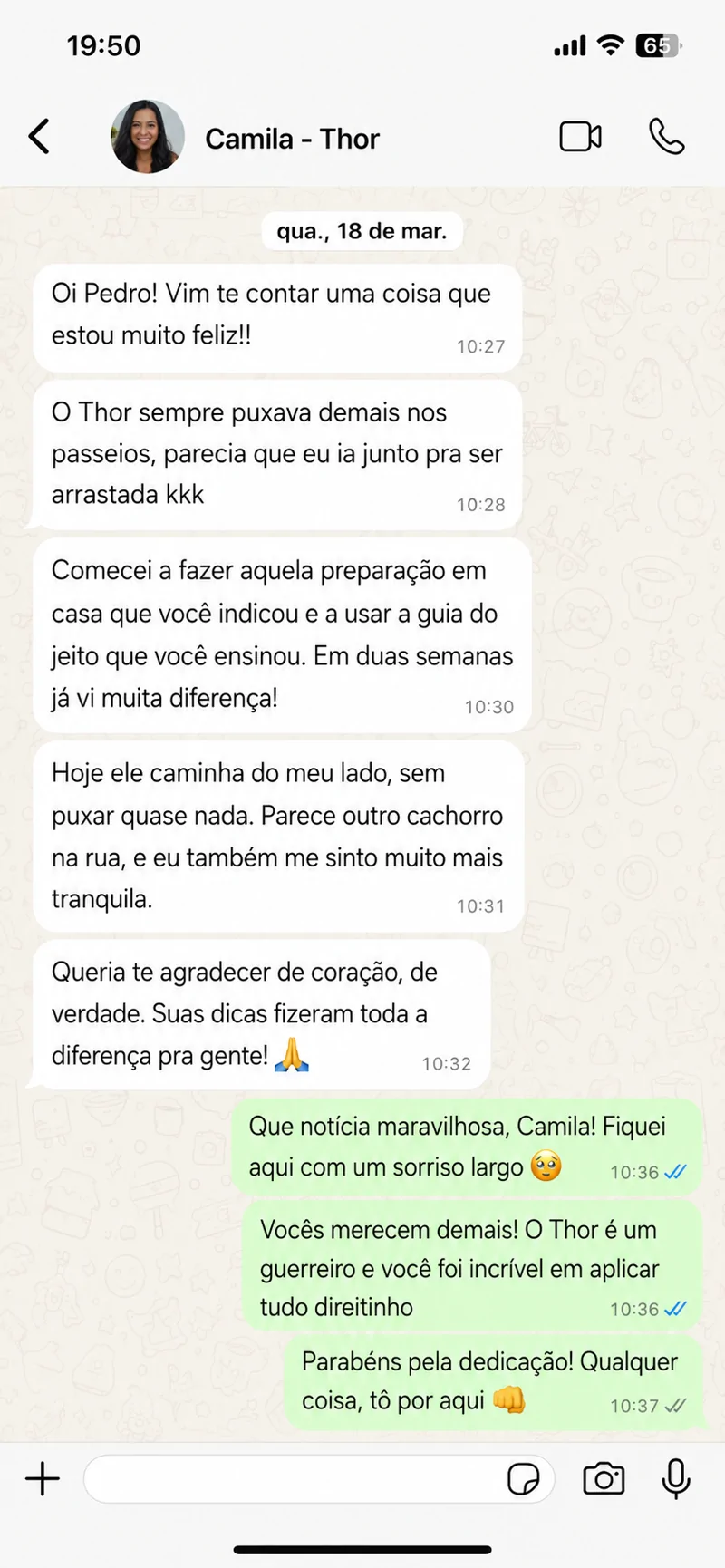 Print de conversa no WhatsApp: Camila, tutora do Thor