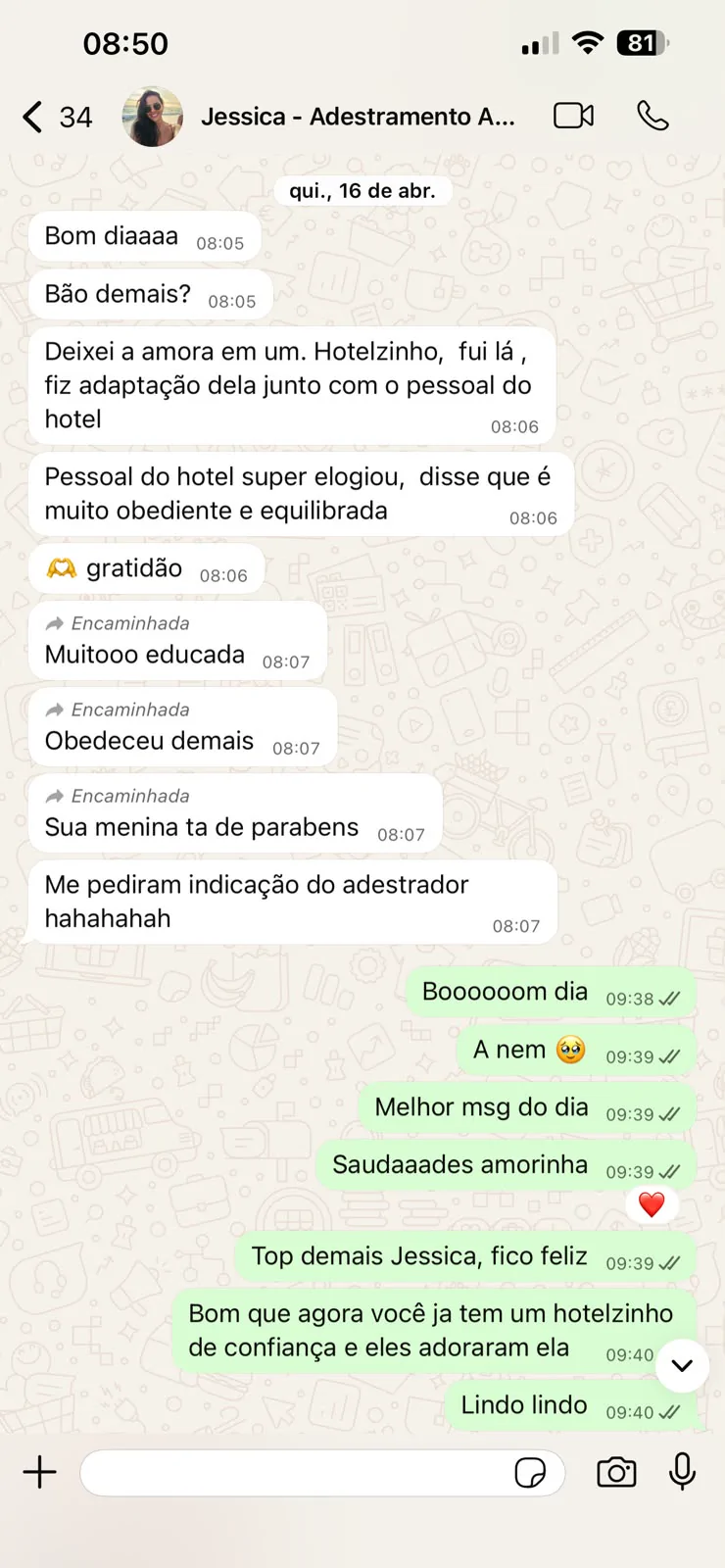 Print de conversa no WhatsApp: Jessica, tutora da Amora