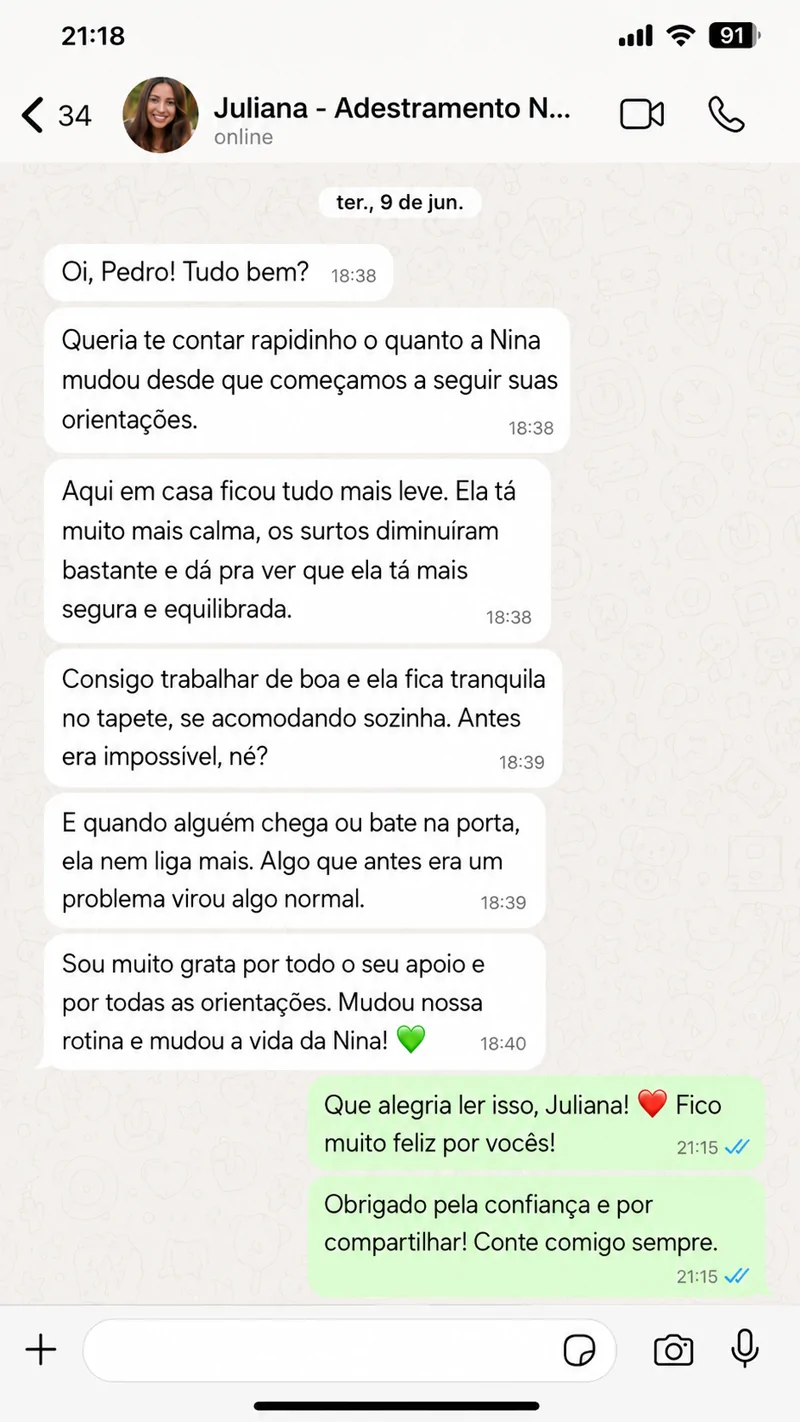 Print de conversa no WhatsApp: Juliana, tutora da Nina