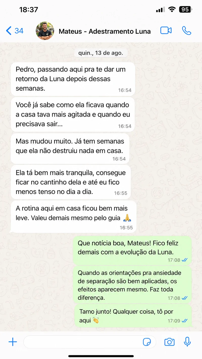 Print de conversa no WhatsApp: Mateus, tutor da Luna