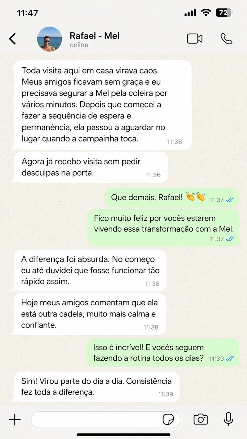 Print de conversa no WhatsApp: Rafael, tutor da Mel